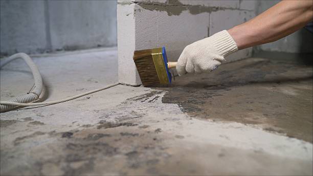 SJ Waterproofing Pros Sump Pump Installation coverage map for Davison, MI and surrounding area